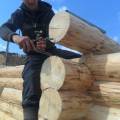 Строительство деревянных домов из дикого сруба