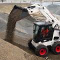 Сдаю в аренду bobcat 650