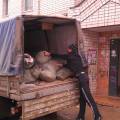 Вывоз мусора Газель,Зил, Камаз