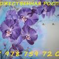 105073.jpg