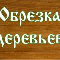 Спил и удаление деревьев, обрезка