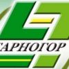 Тарногор