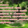 Всі види робіт по ландшафтному дизайну